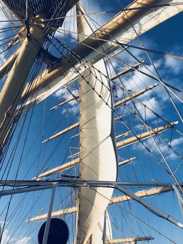 Royal Clipper