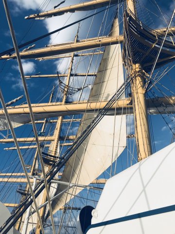 Royal Clipper