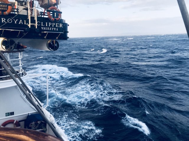 Royal Clipper