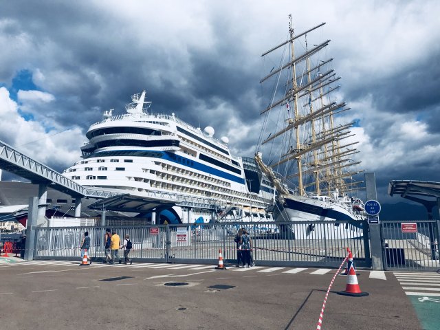 Royal Clipper