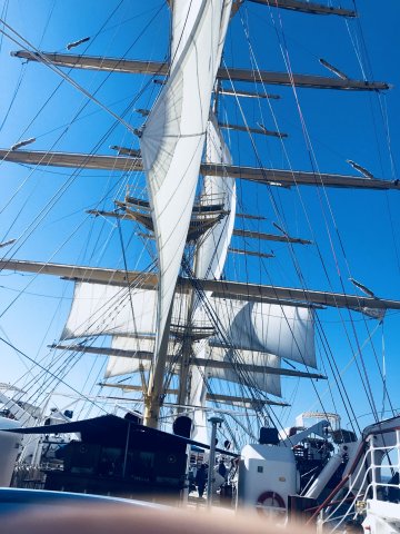 Royal Clipper