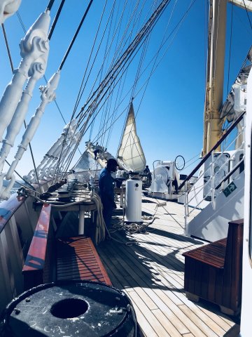 Royal Clipper