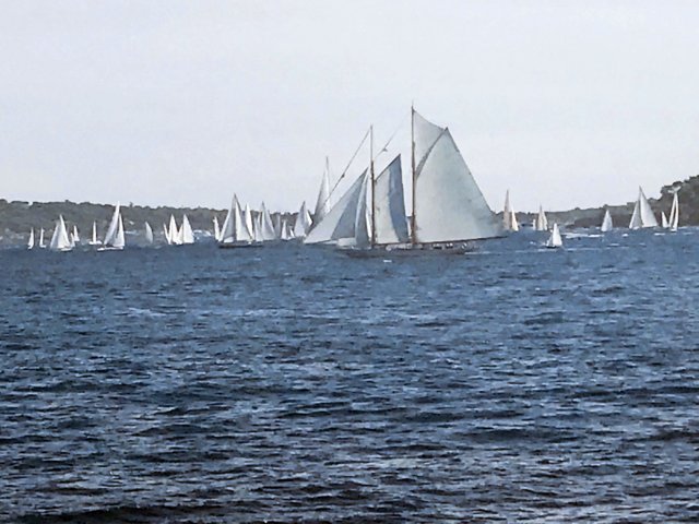 Royal Clipper