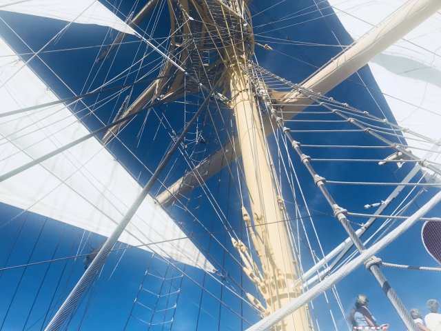 Royal Clipper