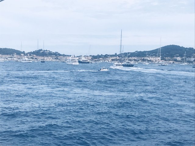 Royal Clipper