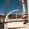 Royal Clipper