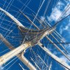 Royal Clipper