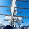 Royal Clipper