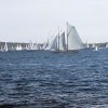 Royal Clipper